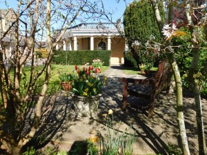 bench and building seen through blossom