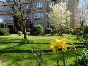 garden in springtime