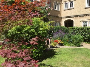 trees and flowers in summer. Photo by HelpStation
